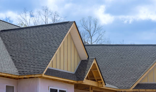 Best Roof Moss and Algae Removal  in Churchill, OH