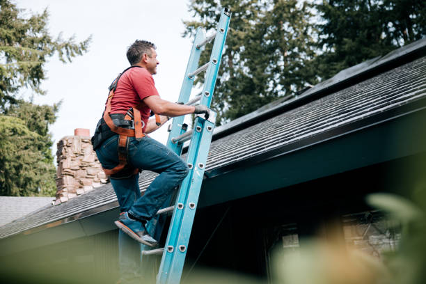 Best Gutter Replacement  in Churchill, OH